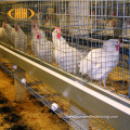 Haiao High Security Poultry Cage